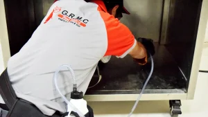Pest Control in Dubai