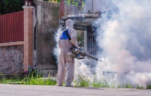 Dubai Municipality Approved Pest Control